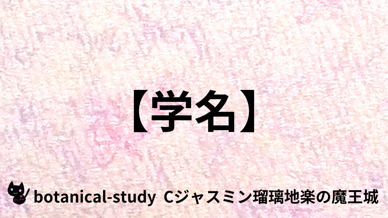 アロマハーブ学名＠botanical-study.com