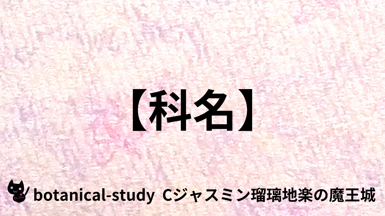 アロマハーブ科名＠botanical-study.com