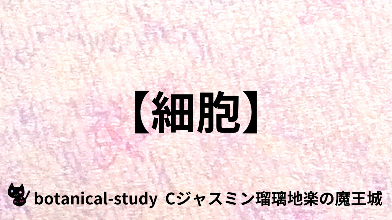 アロマハーブ細胞＠botanical-study.com