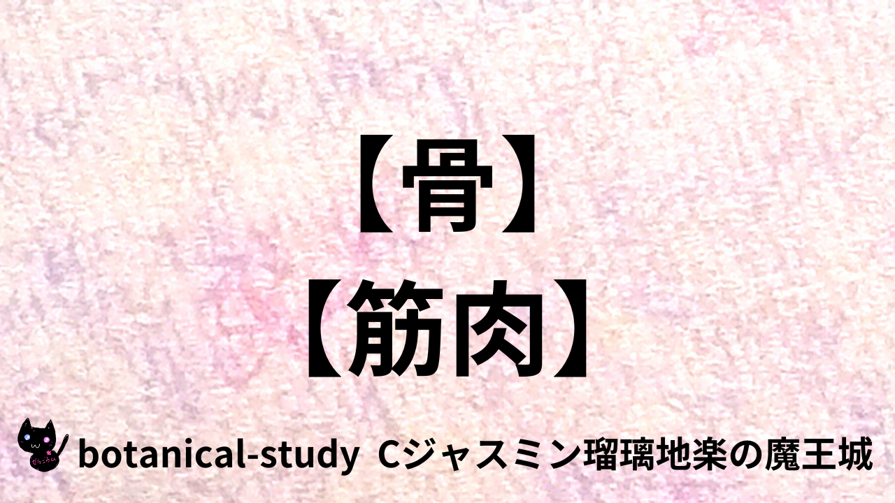 アロマハーブ骨筋肉＠botanical-study.com