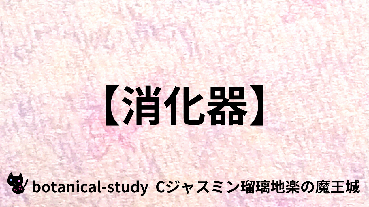アロマハーブ消化器＠botanical-study.com