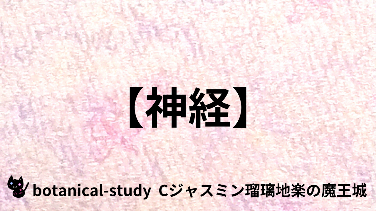アロマハーブ神経＠botanical-study.com