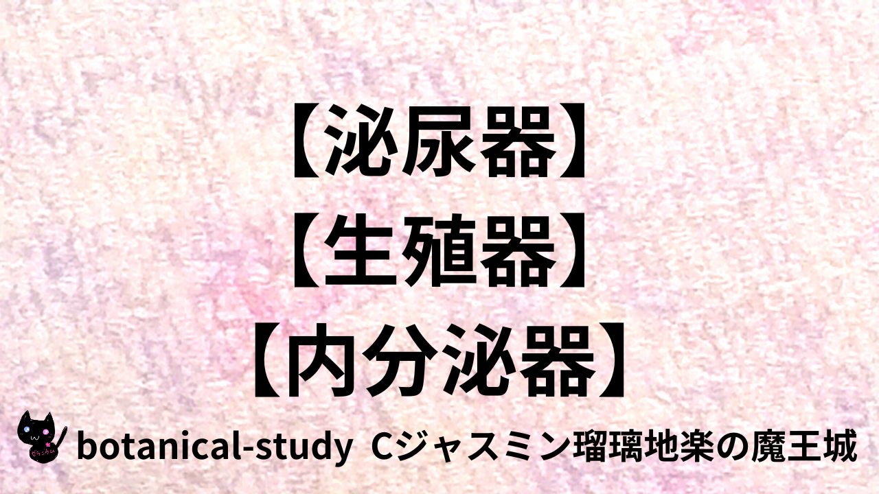 アロマハーブ泌尿内分泌＠botanical-study.com