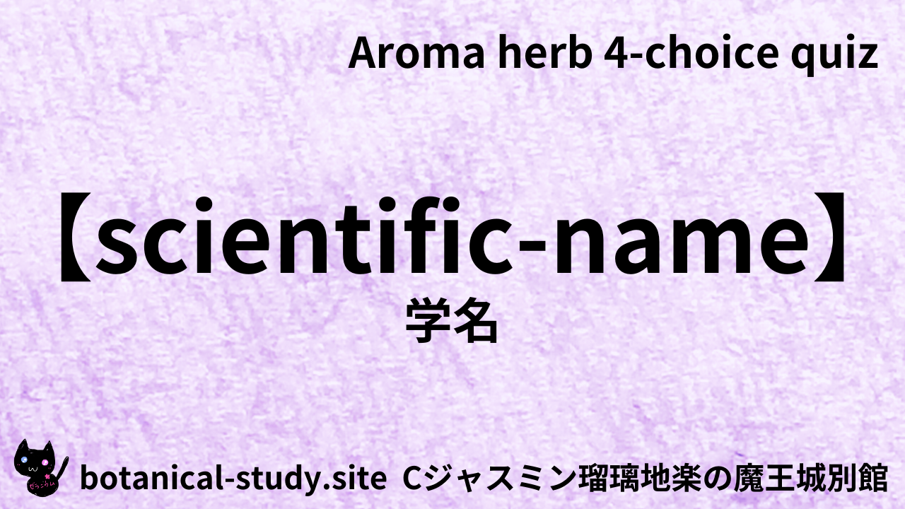 アロマハーブ学名英語＠botanical-study.com