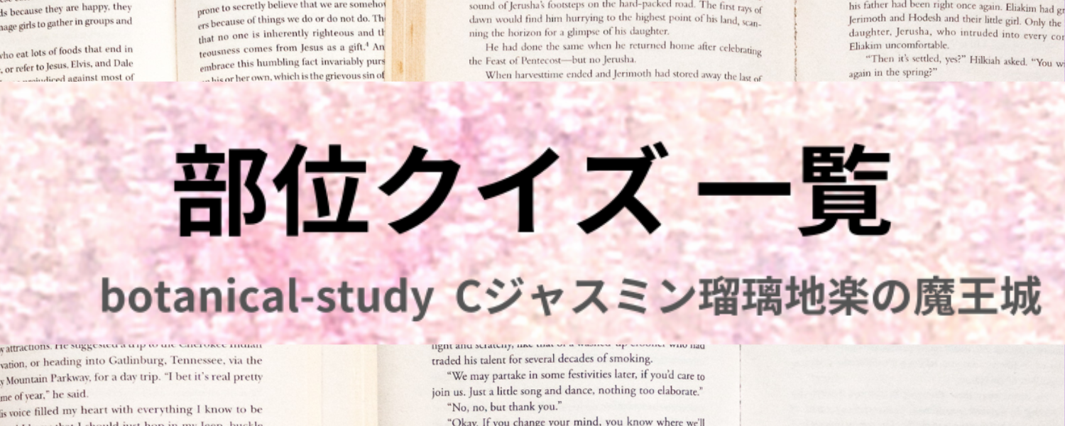 アロマハーブ部位別アロマハーブ辞典＠botanical-study.com