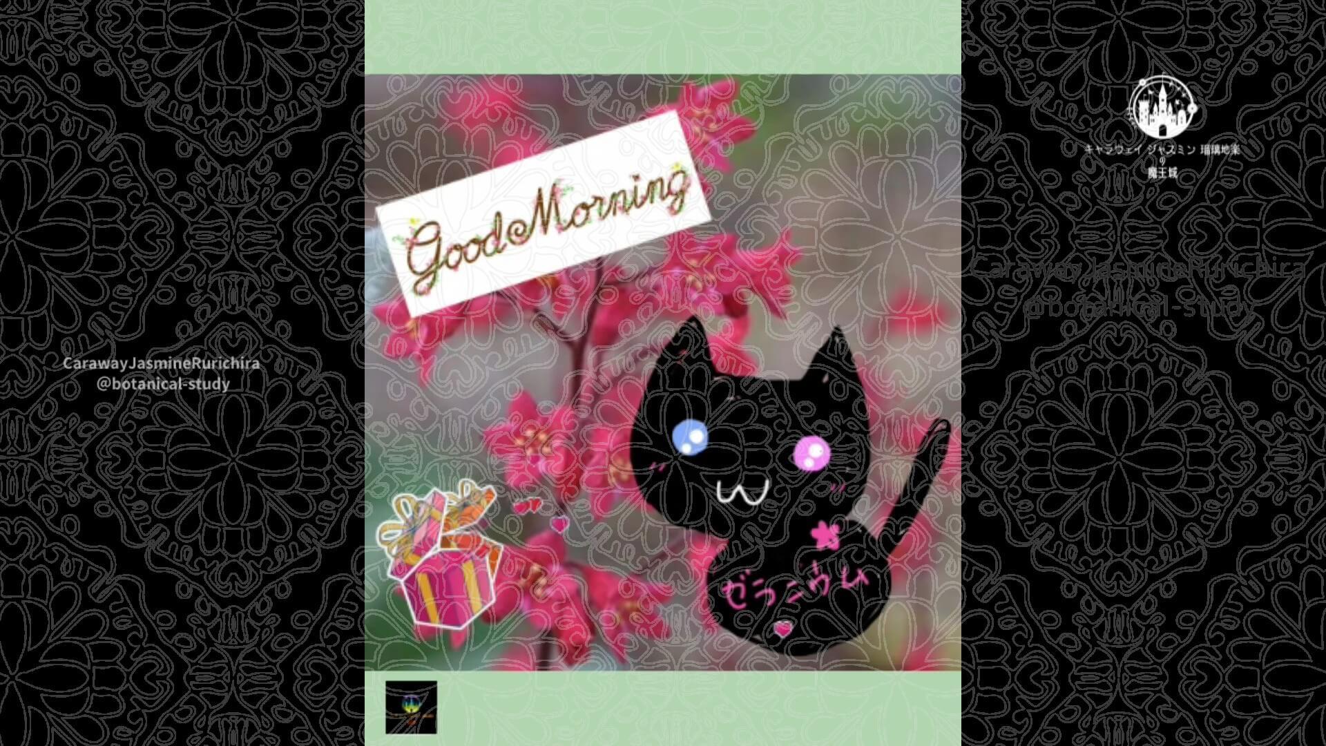 3月13日誕生花ヒューケラ by Cジャスミン瑠璃地楽 | botanical-study.com