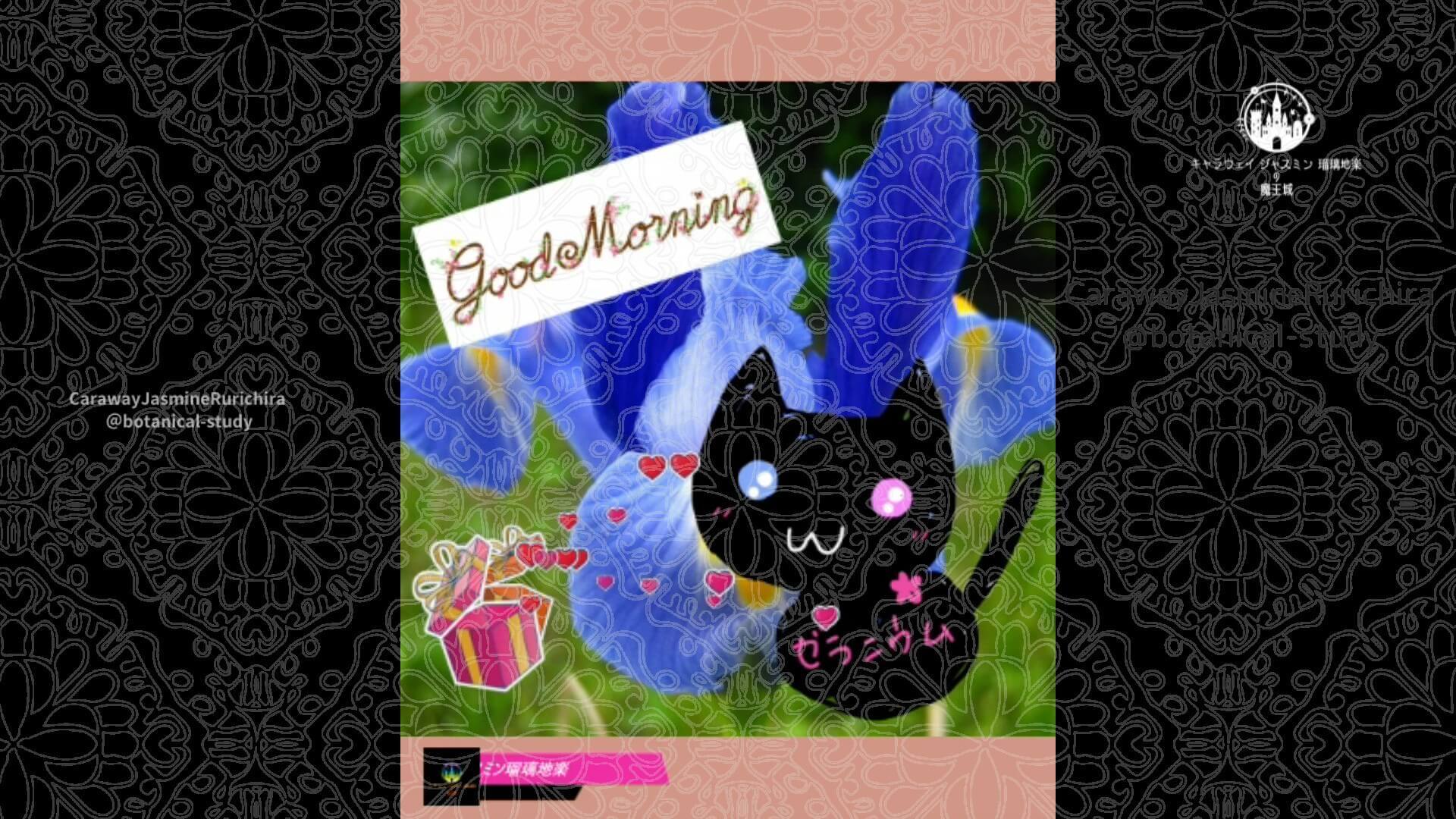 3月18日誕生花アイリス by Cジャスミン瑠璃地楽 | botanical-study.com