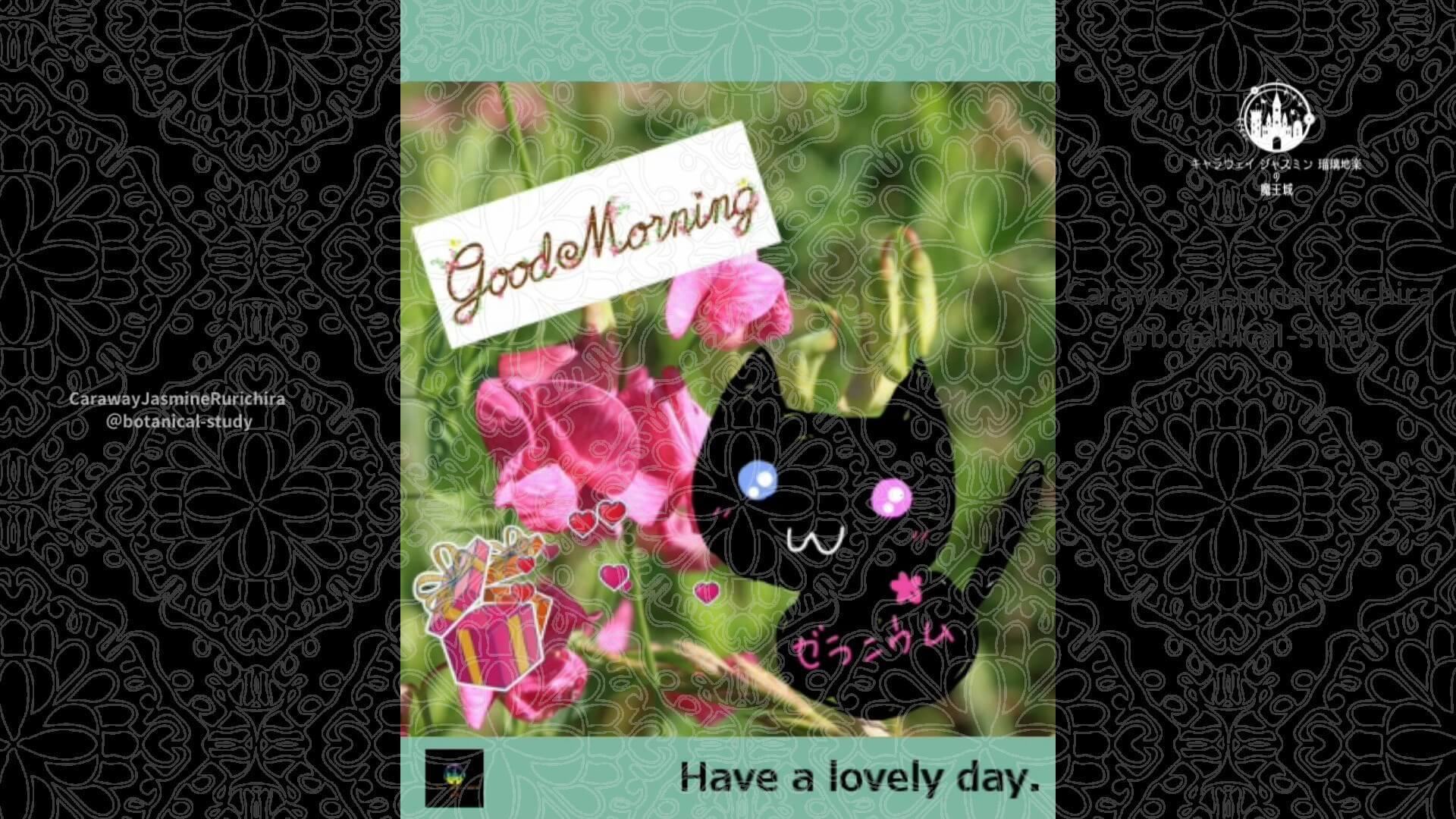 3月20日誕生花スイトピーピンク by Cジャスミン瑠璃地楽 | botanical-study.com