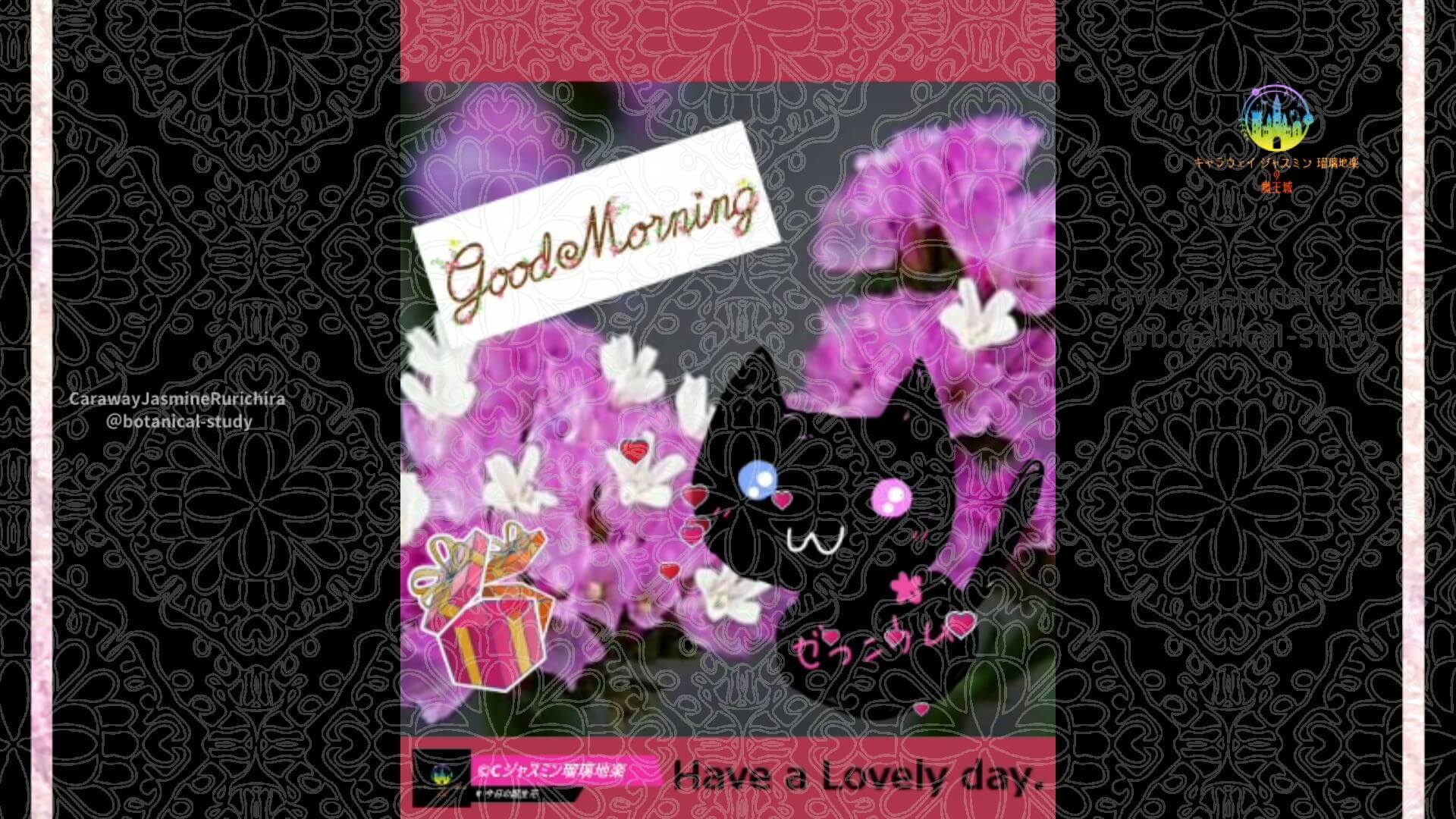 4月18日誕生花スターチス by Cジャスミン瑠璃地楽 | botanical-study.com