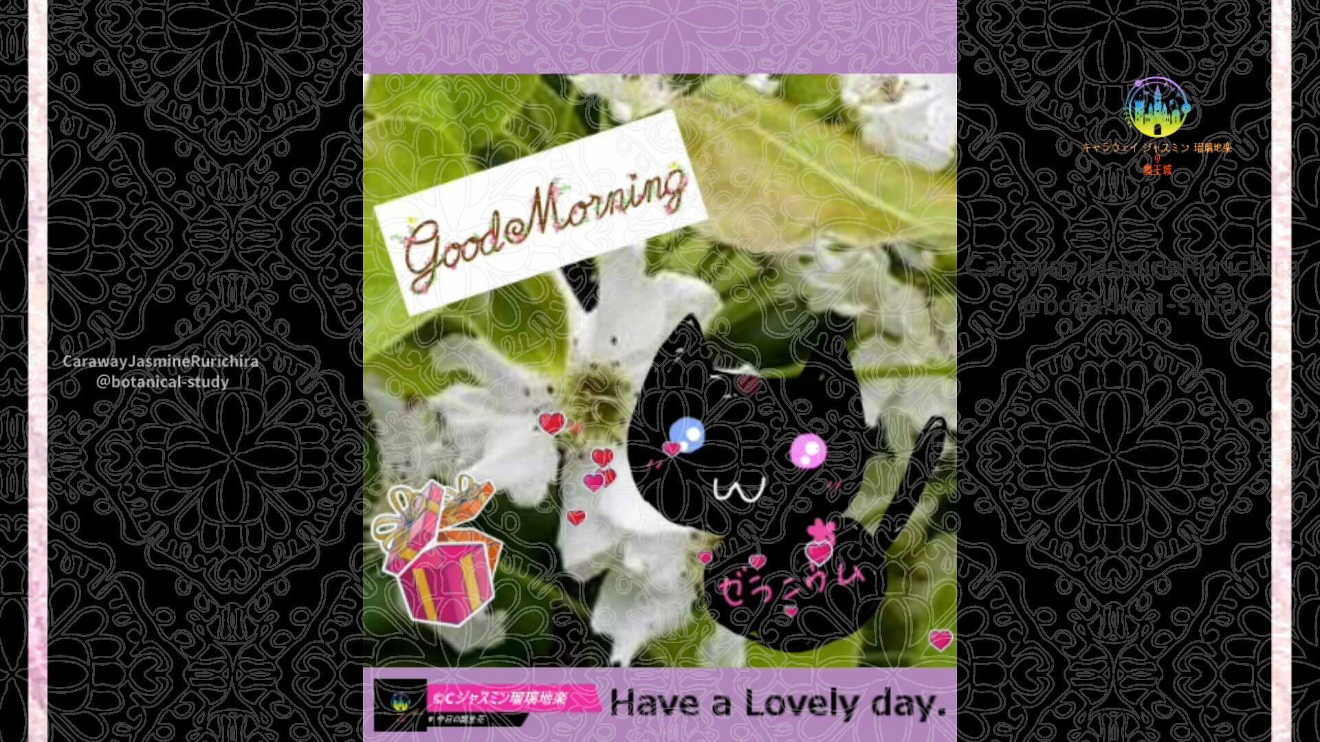 4月20日誕生花ナシ by Cジャスミン瑠璃地楽 | botanical-study.com