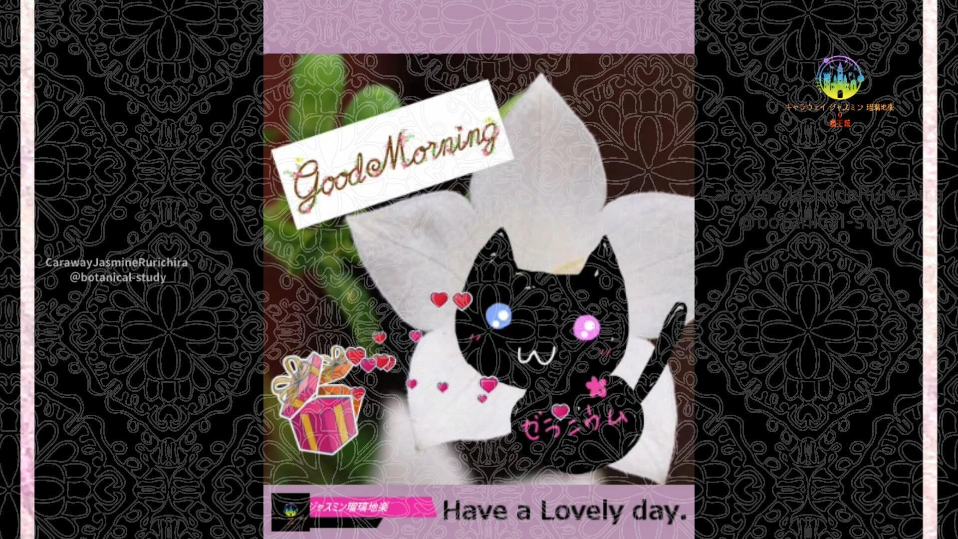 4月23日誕生花キキョウ by Cジャスミン瑠璃地楽 | botanical-study.com