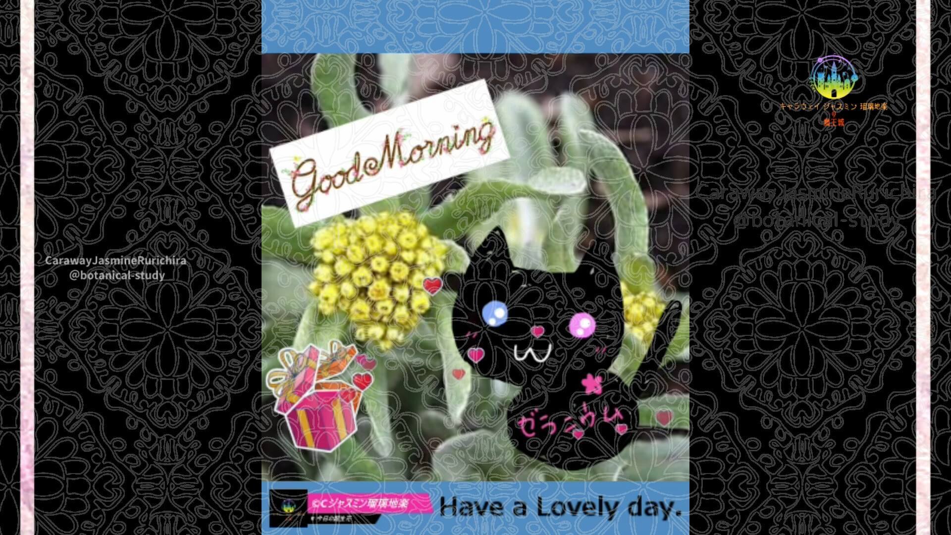 4月25日誕生花ハハコグサ by Cジャスミン瑠璃地楽 | botanical-study.com