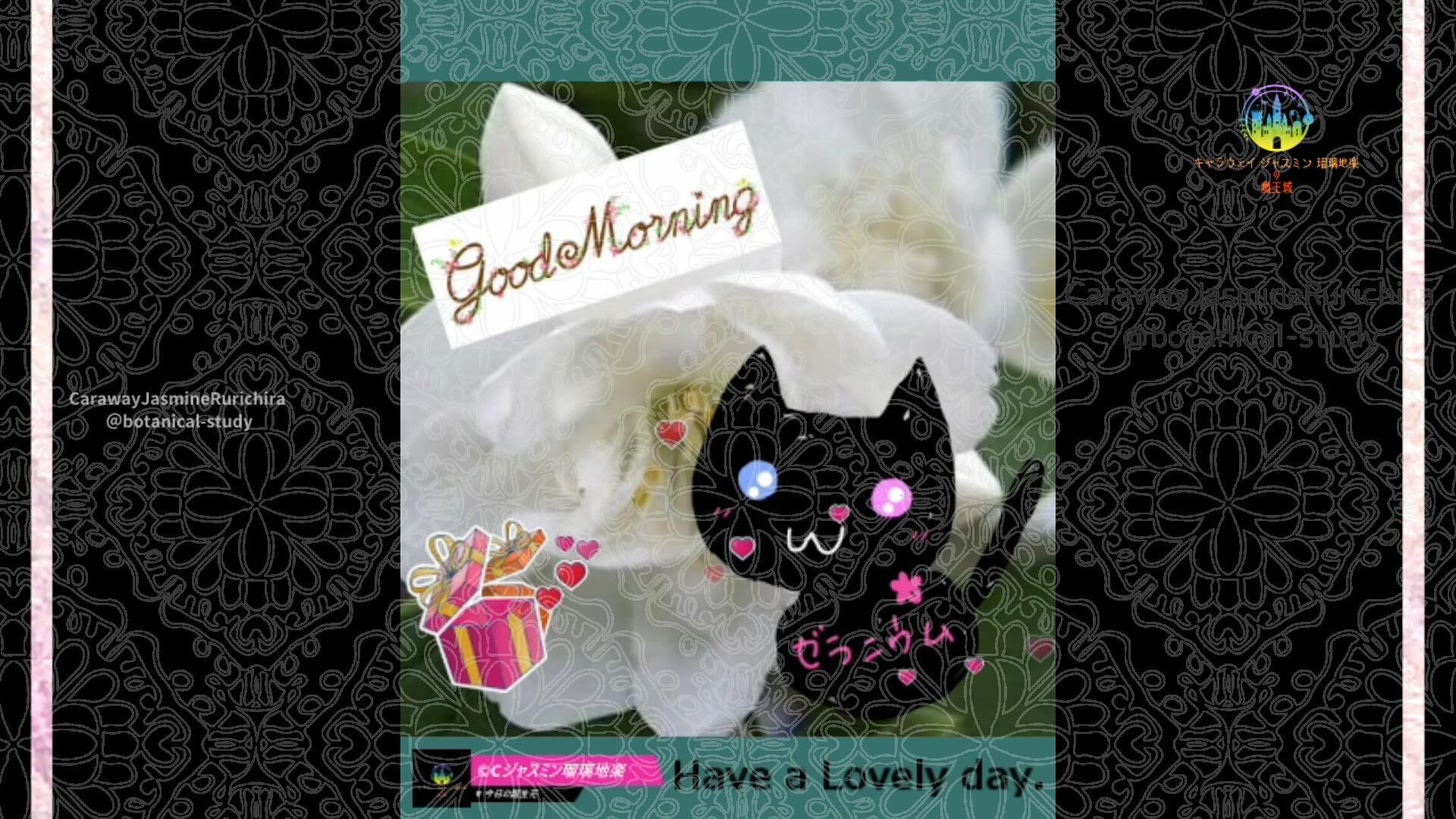 4月28日誕生花バイカウツギ by Cジャスミン瑠璃地楽 | botanical-study.com