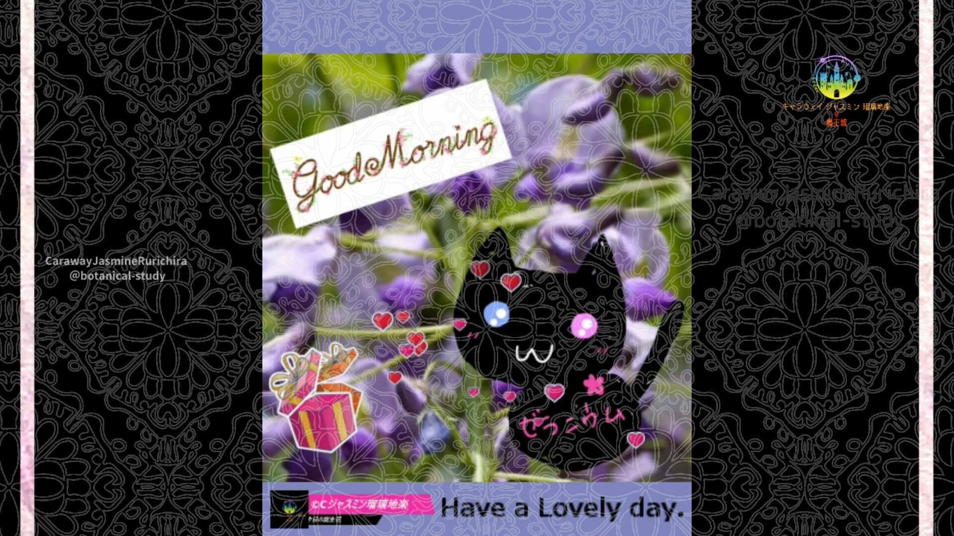 4月29日誕生花フジ by Cジャスミン瑠璃地楽 | botanical-study.com