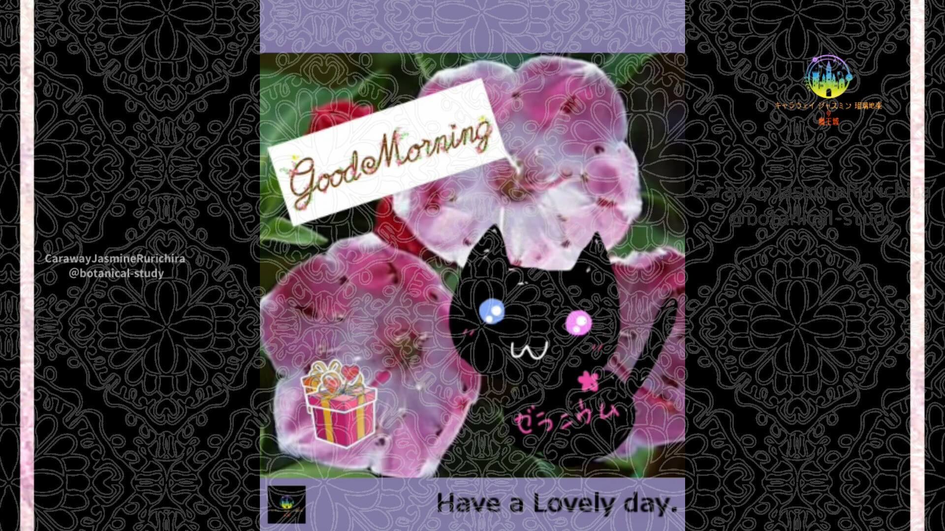 4月30日誕生花カルミア by Cジャスミン瑠璃地楽 | botanical-study.com