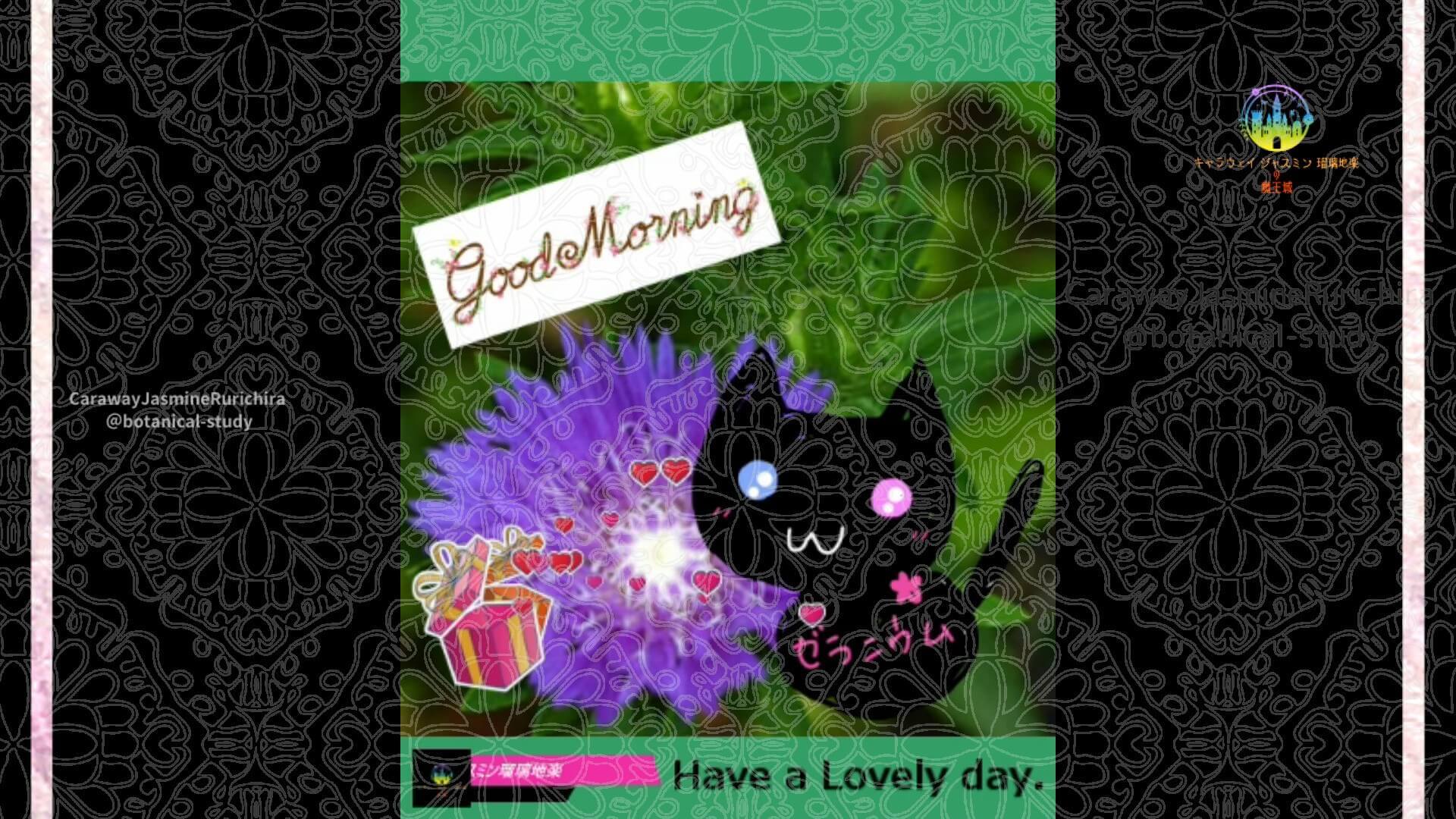 5月5日誕生花スケトシア by Cジャスミン瑠璃地楽 | botanical-study.com