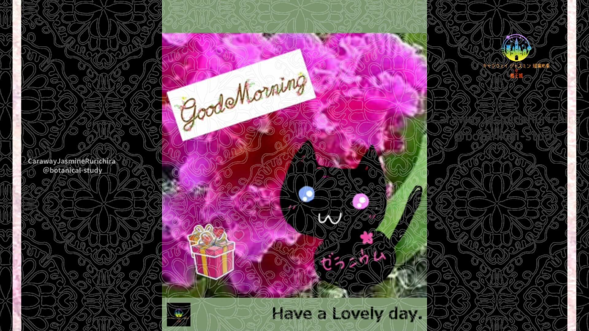 5月6日誕生花ラン by Cジャスミン瑠璃地楽 | botanical-study.com