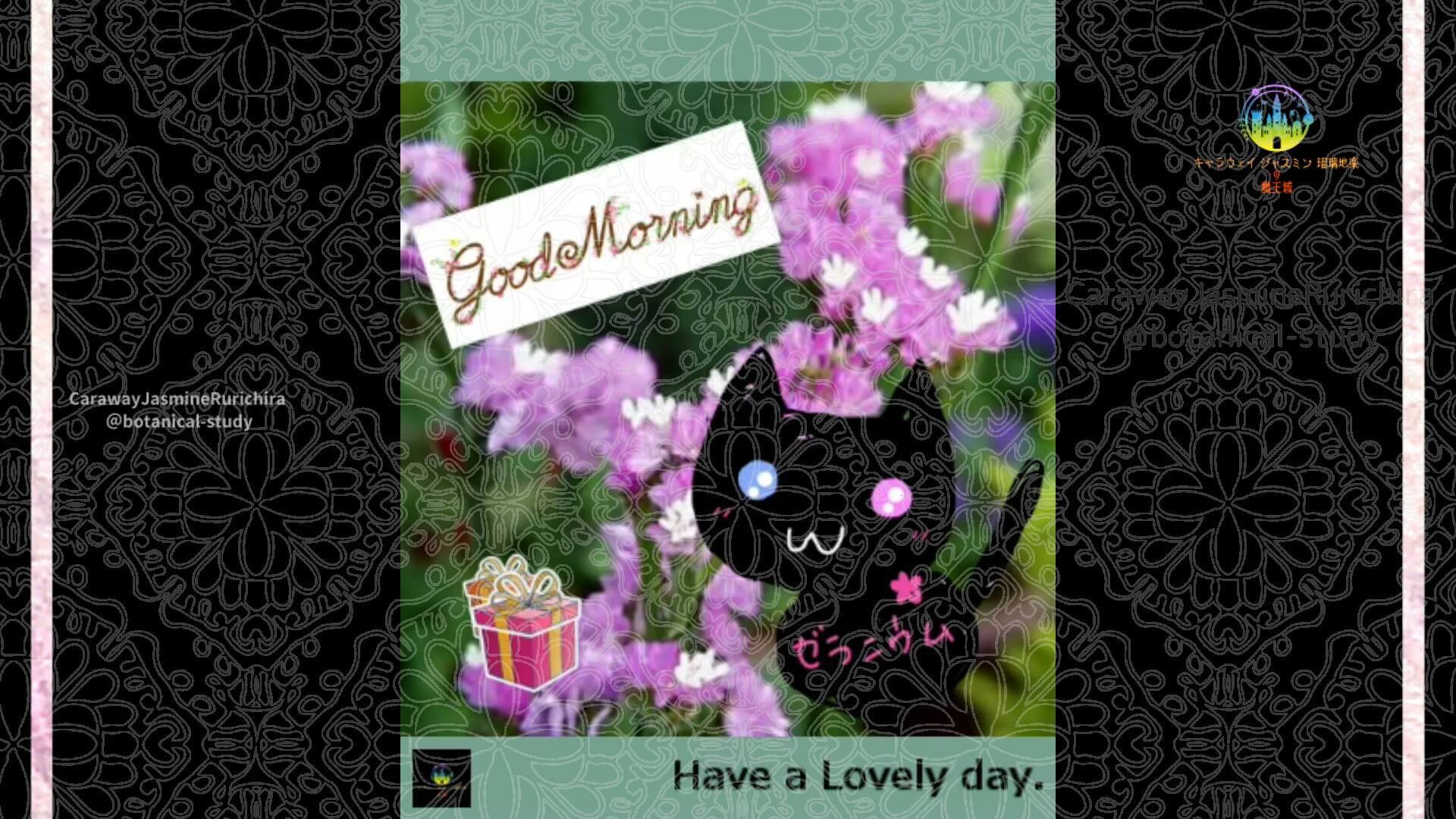5月7日誕生花スターチス by Cジャスミン瑠璃地楽 | botanical-study.com