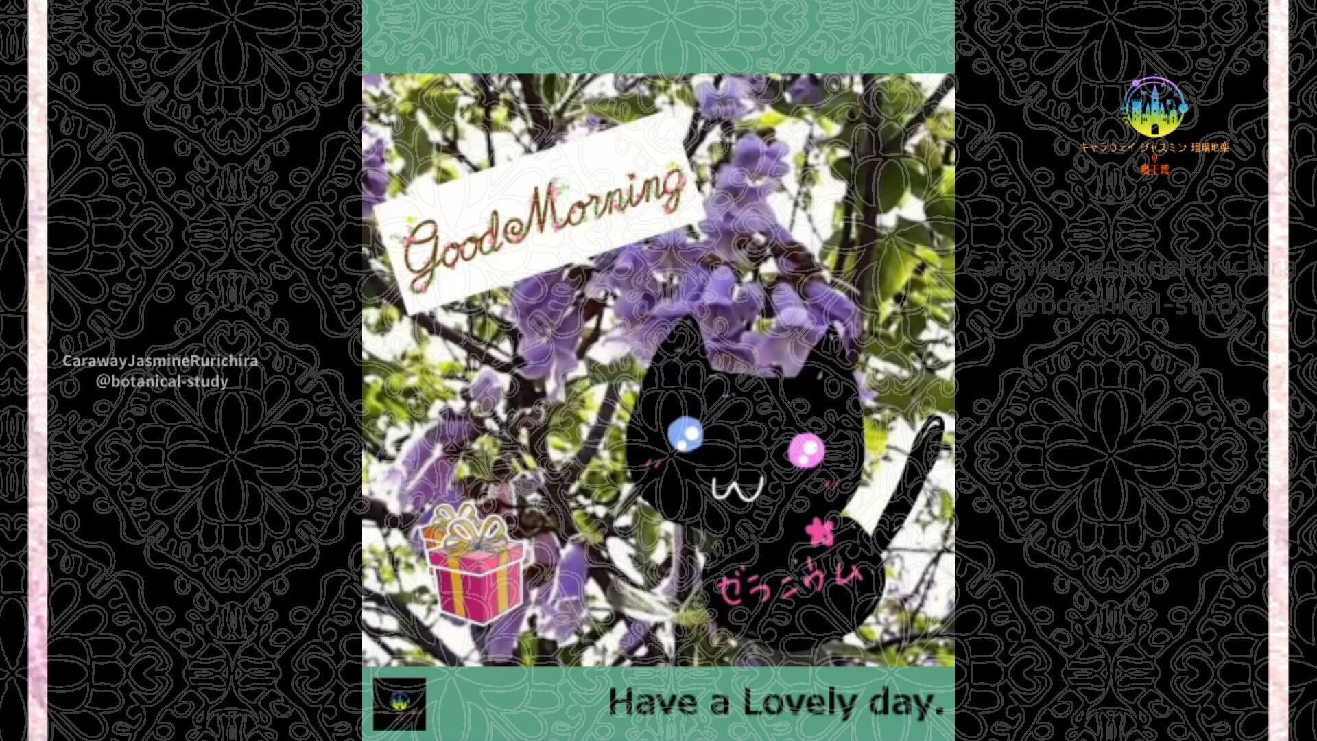 5月9日誕生花キリ by Cジャスミン瑠璃地楽 | botanical-study.com