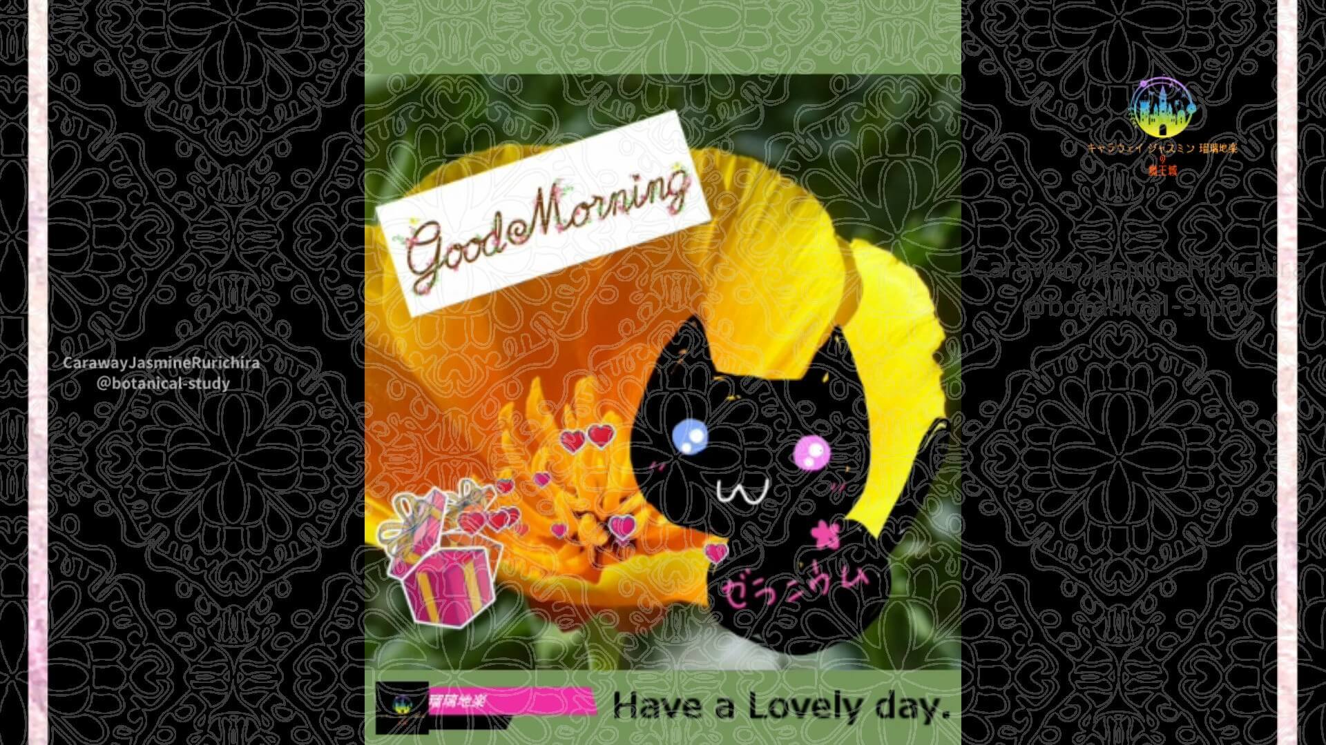 5月13日誕生花ハナビシソウ by Cジャスミン瑠璃地楽 | botanical-study.com