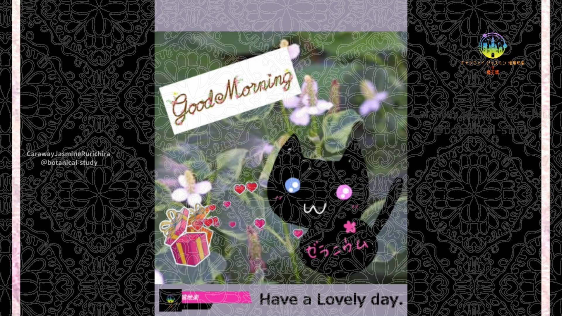 5月15日誕生花ドクダミ by Cジャスミン瑠璃地楽 | botanical-study.com