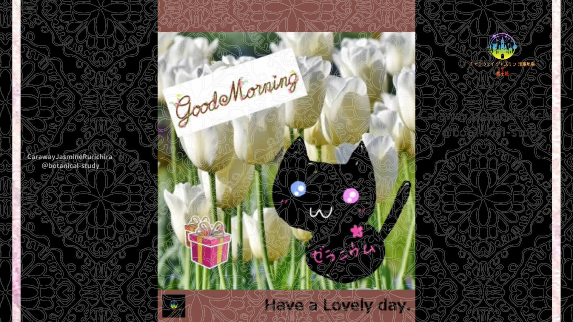 5月17日誕生花チューリップ by Cジャスミン瑠璃地楽 | botanical-study.com