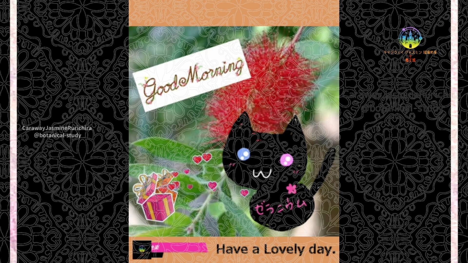 5月19日誕生花ブラシノキ by Cジャスミン瑠璃地楽 | botanical-study.com