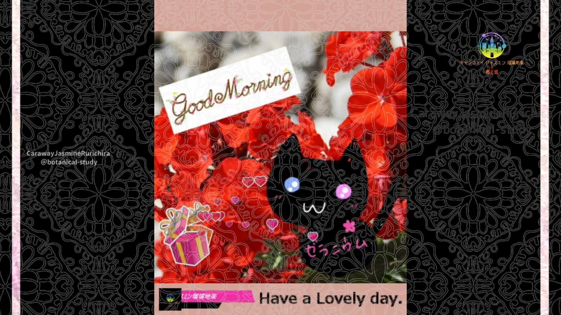 5月26日誕生花ゼラニウム by Cジャスミン瑠璃地楽 | botanical-study.com