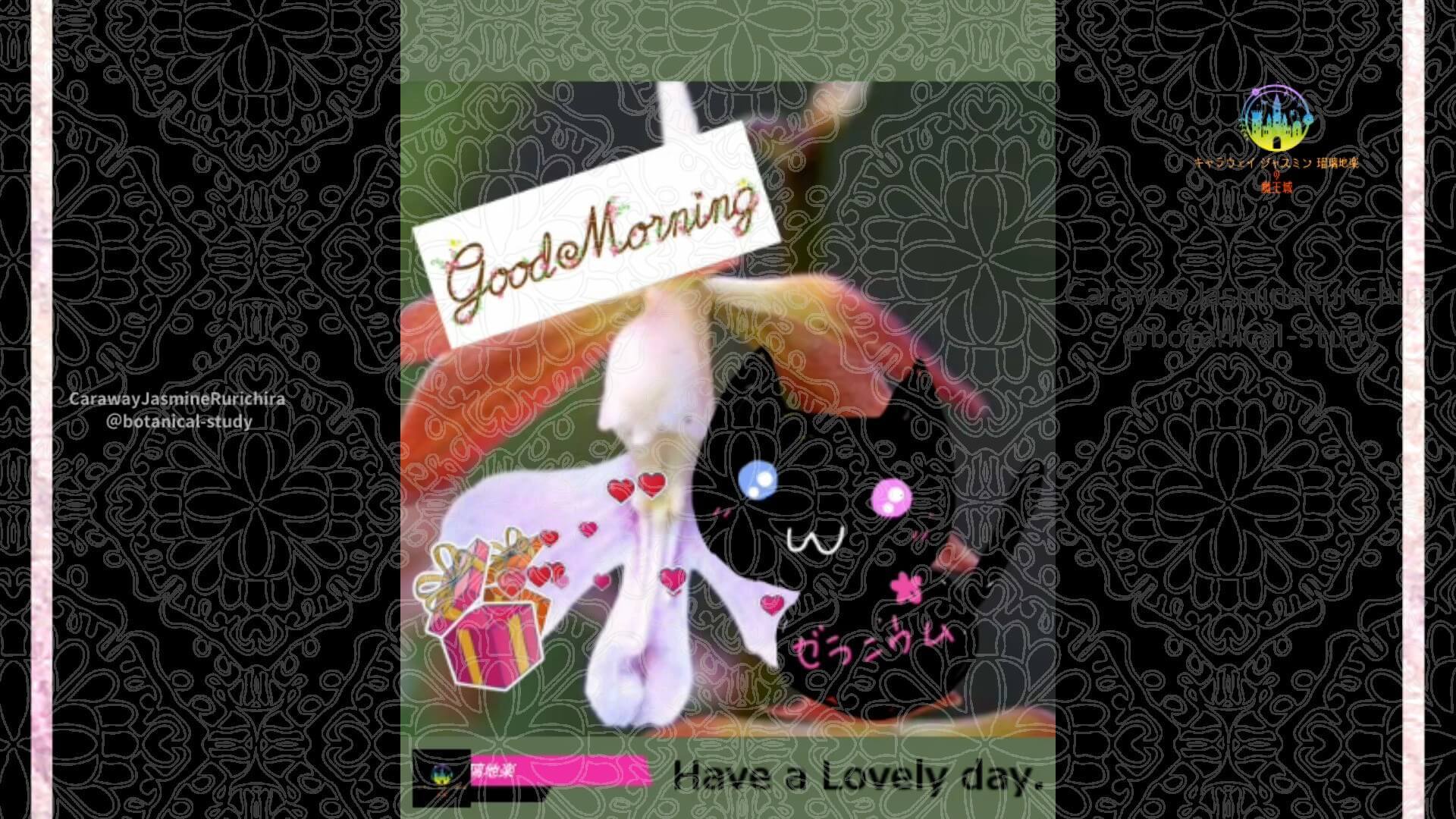 5月27日誕生花エビネ by Cジャスミン瑠璃地楽 | botanical-study.com