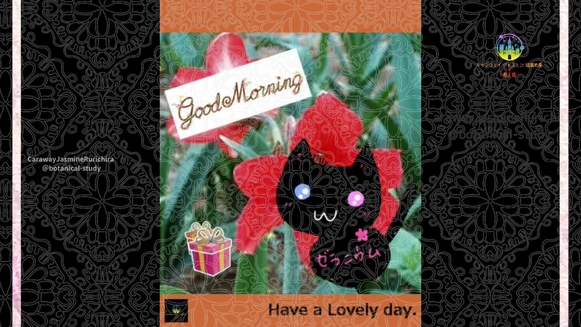 5月30日誕生花アマリリス by Cジャスミン瑠璃地楽 | botanical-study.com