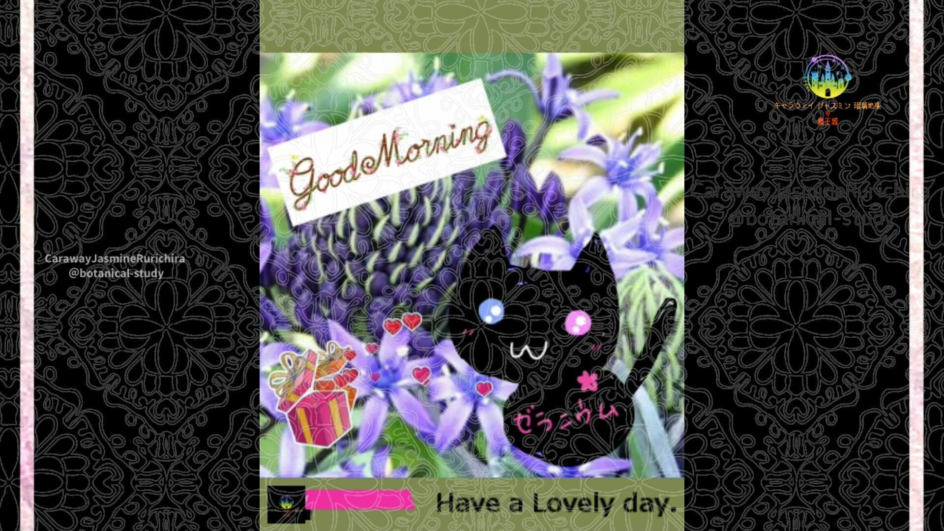 5月31日誕生花シラー by Cジャスミン瑠璃地楽 | botanical-study.com