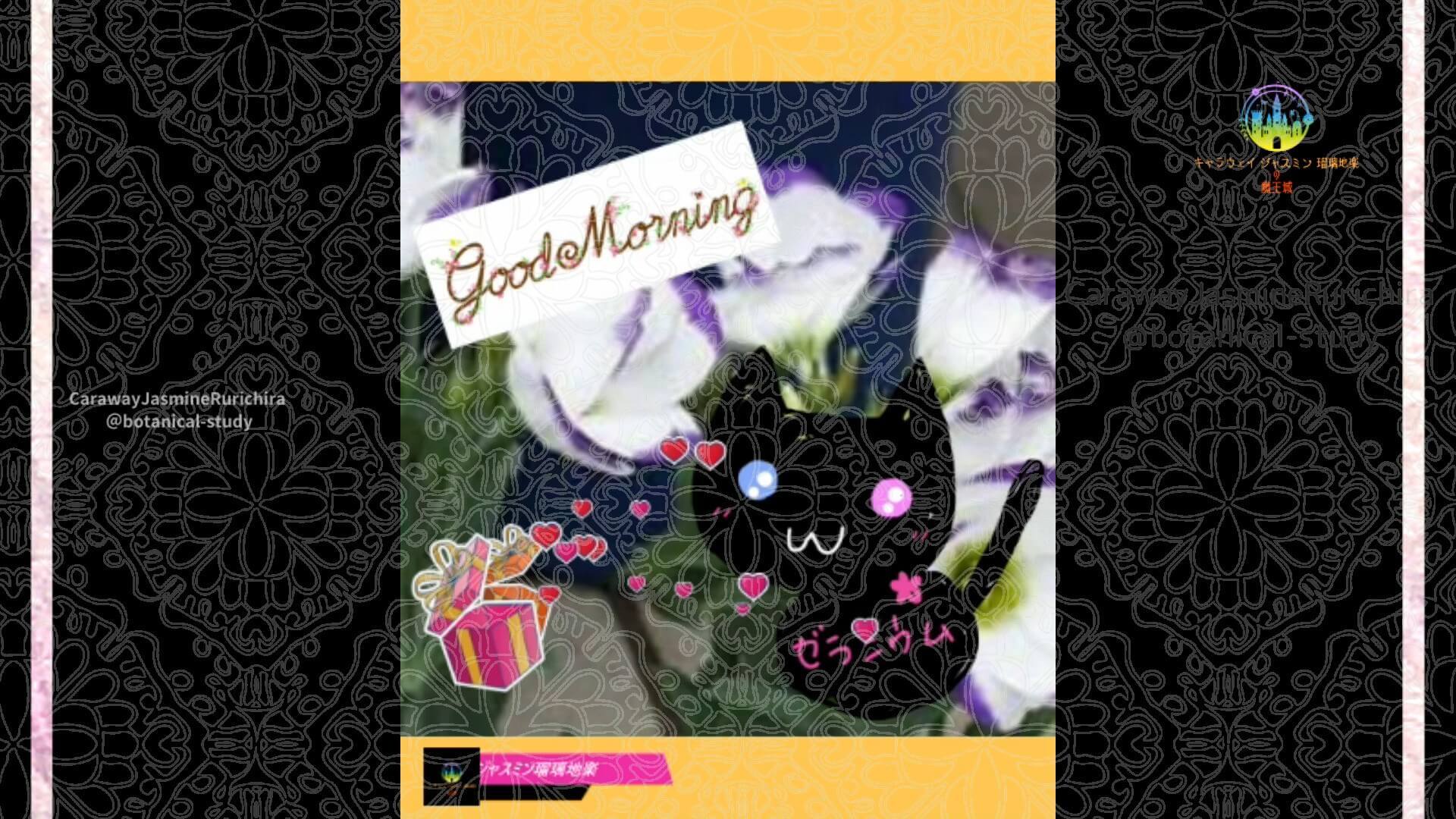 6月1日誕生花トルコキキョウ by Cジャスミン瑠璃地楽 | botanical-study.com