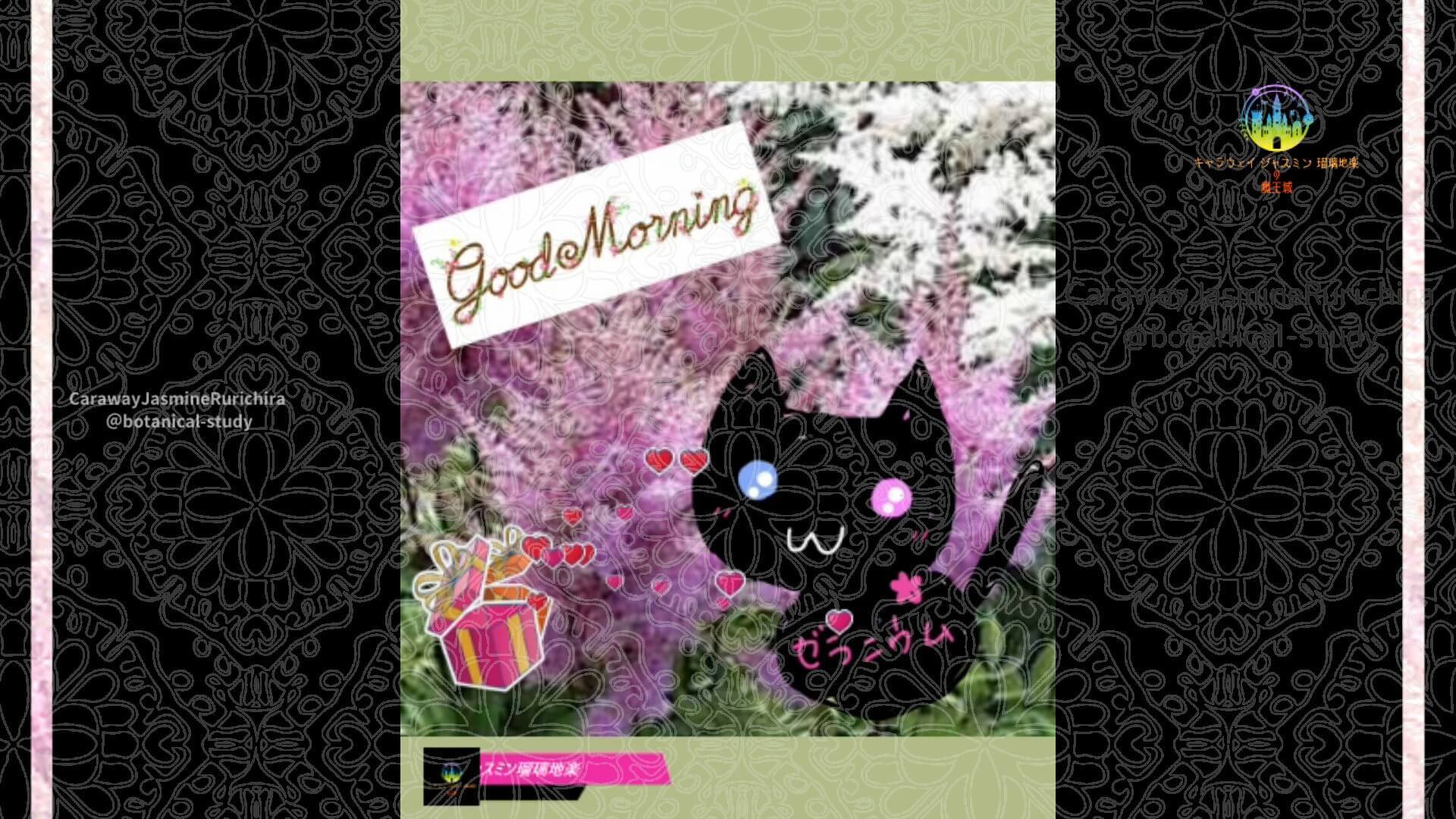 6月2日誕生花アスチルベ by Cジャスミン瑠璃地楽 | botanical-study.com
