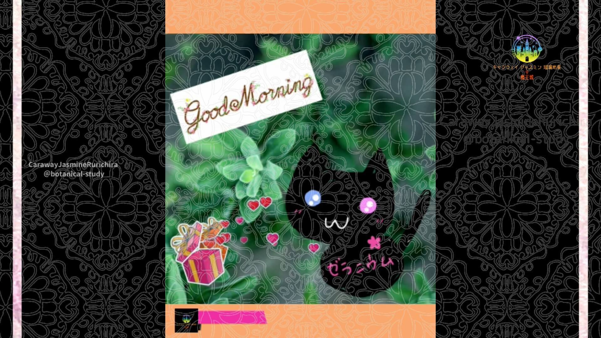 6月3日誕生花タイム by Cジャスミン瑠璃地楽 | botanical-study.com