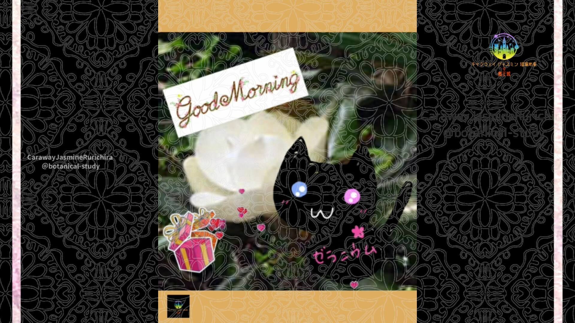 6月8日誕生花タイサンボク by Cジャスミン瑠璃地楽 | botanical-study.com