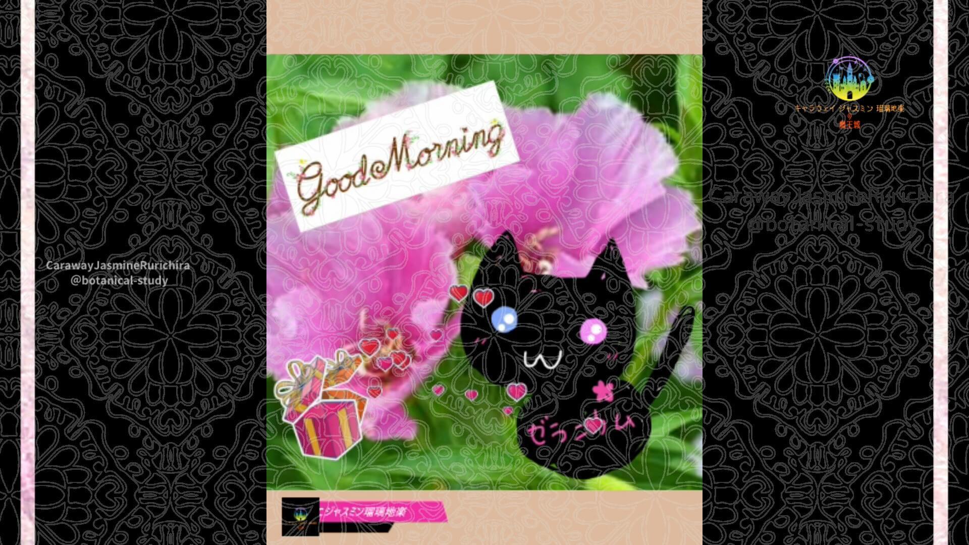6月9日誕生花ゴデチア by Cジャスミン瑠璃地楽 | botanical-study.com