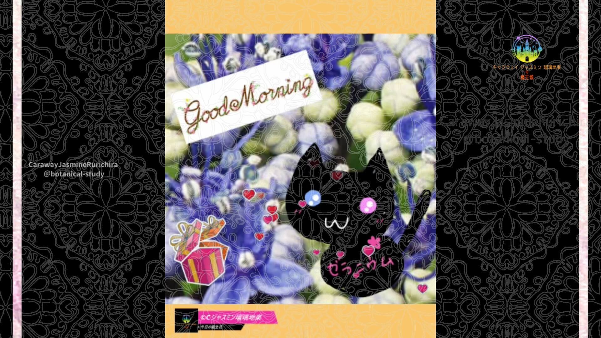6月11日誕生花ガクアジサイ by Cジャスミン瑠璃地楽 | botanical-study.com