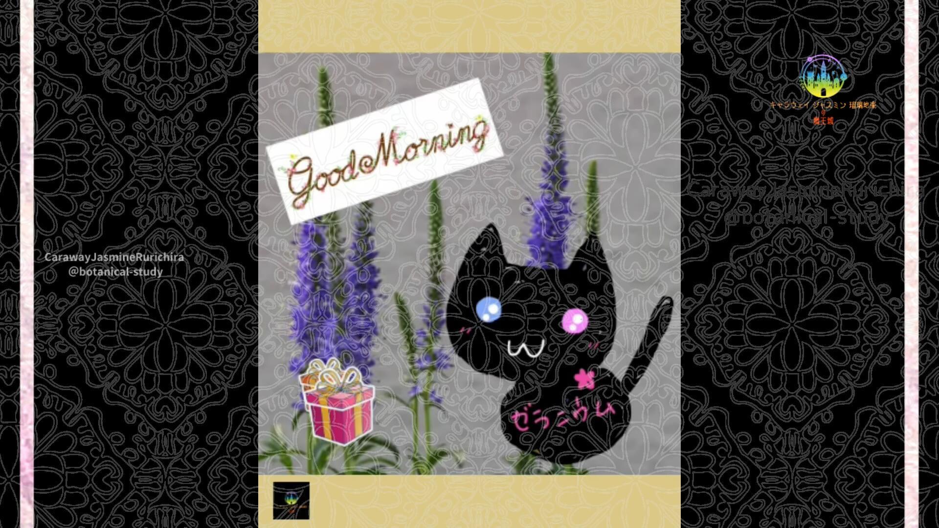 6月16日誕生花ベロニカ by Cジャスミン瑠璃地楽 | botanical-study.com