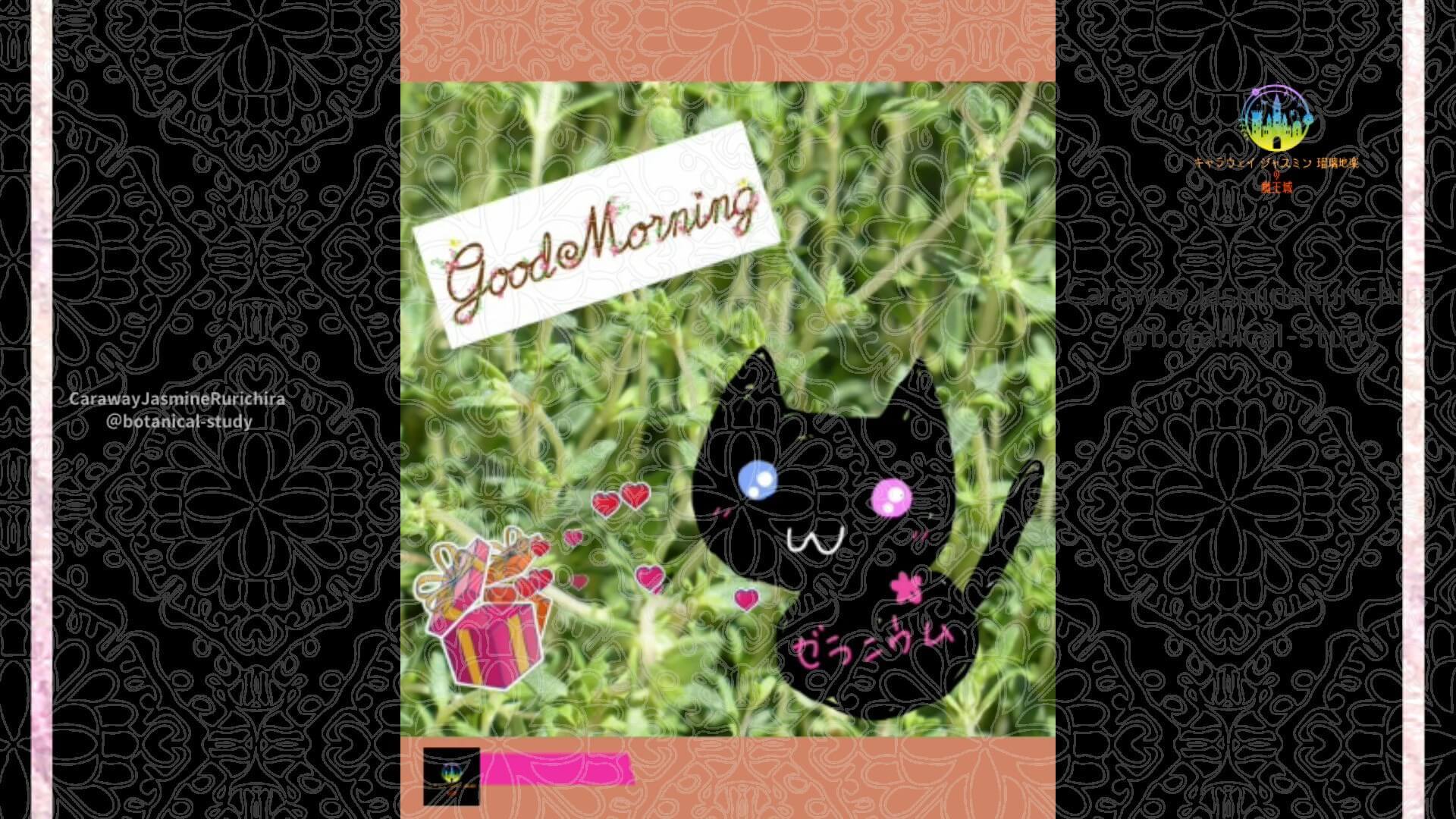 6月18日誕生花タイム Cジャスミン瑠璃地楽 | botanical-study.com