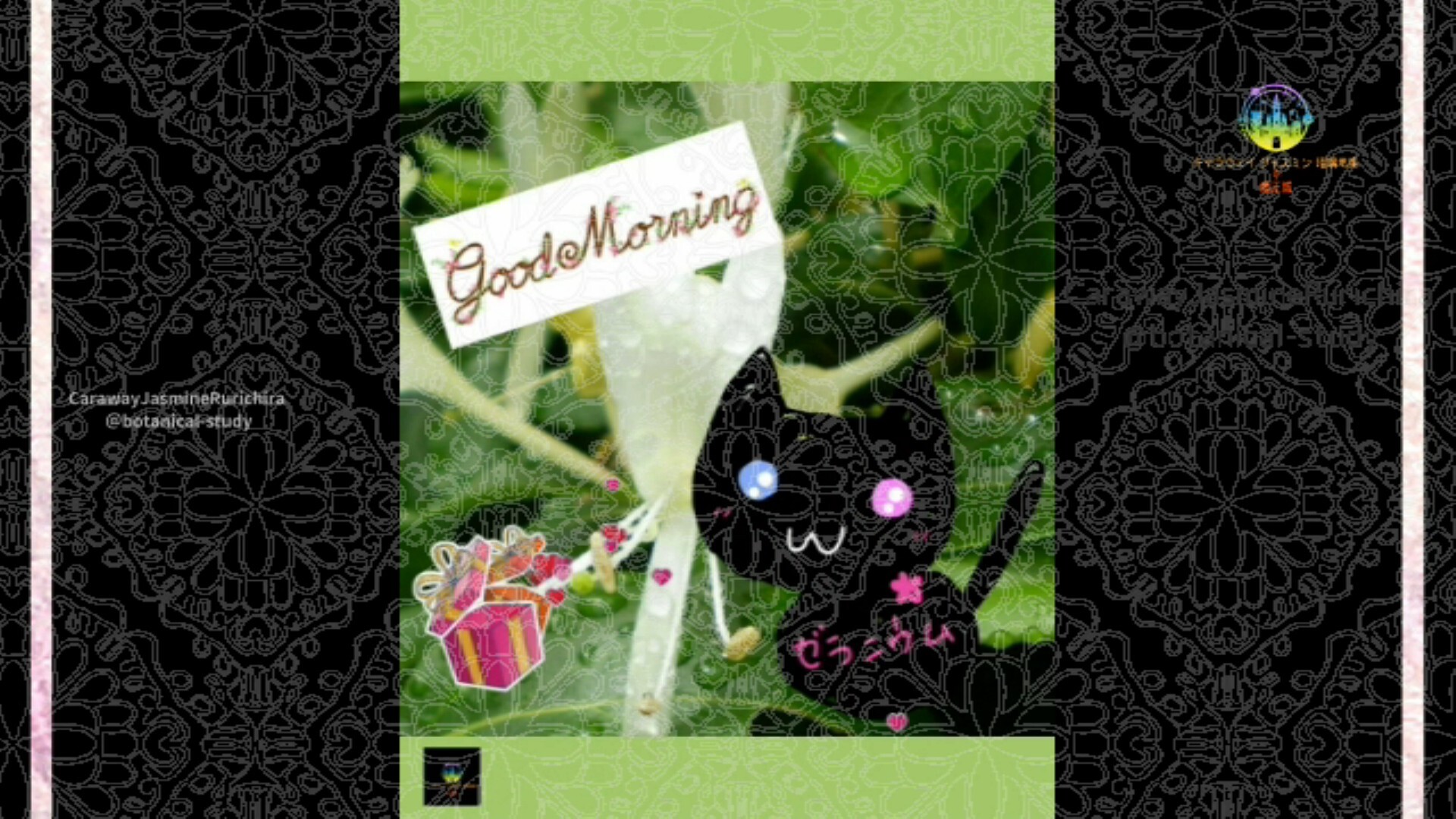 6月22日誕生花スイカズラ by Cジャスミン瑠璃地楽 | botanical-study.com