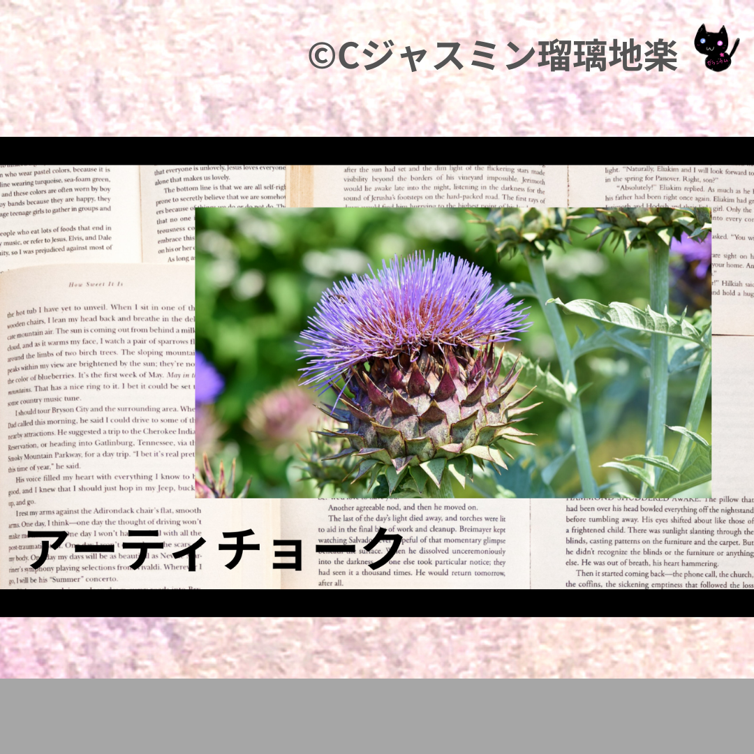 アーティチョーク(ハーブ)＠botanical-study.com