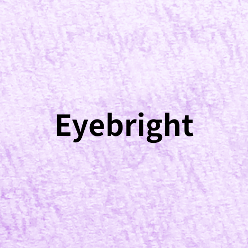 Eyebright(Herb)＠botanical-study.com