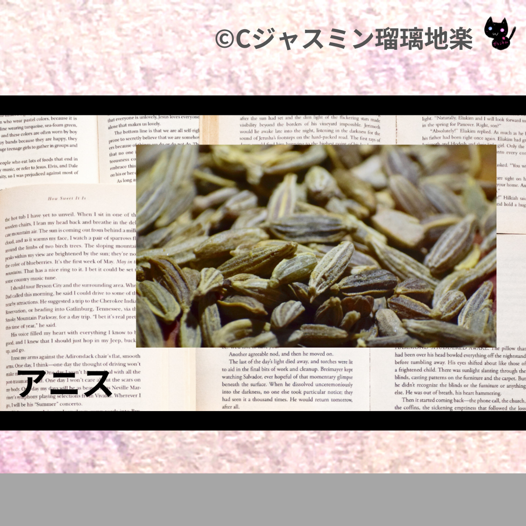 アニス(精油・ハーブ・スパイス)＠botanical-study.com