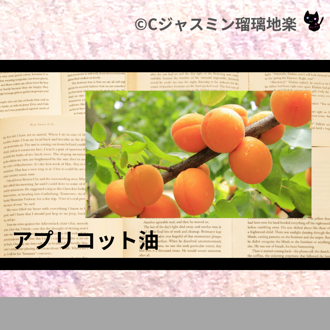 アプリコット油(基材)＠botanical-study.com