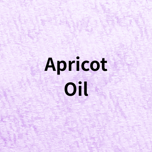 Apricot Oil(Base Materials)＠botanical-study.com