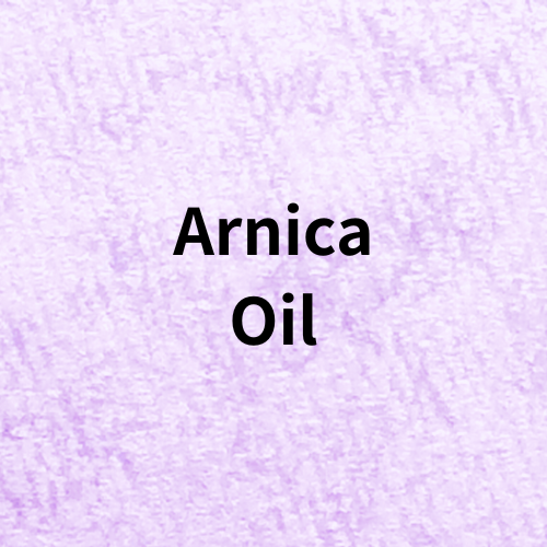 Arnica Oil(Base Materials)＠botanical-study.com