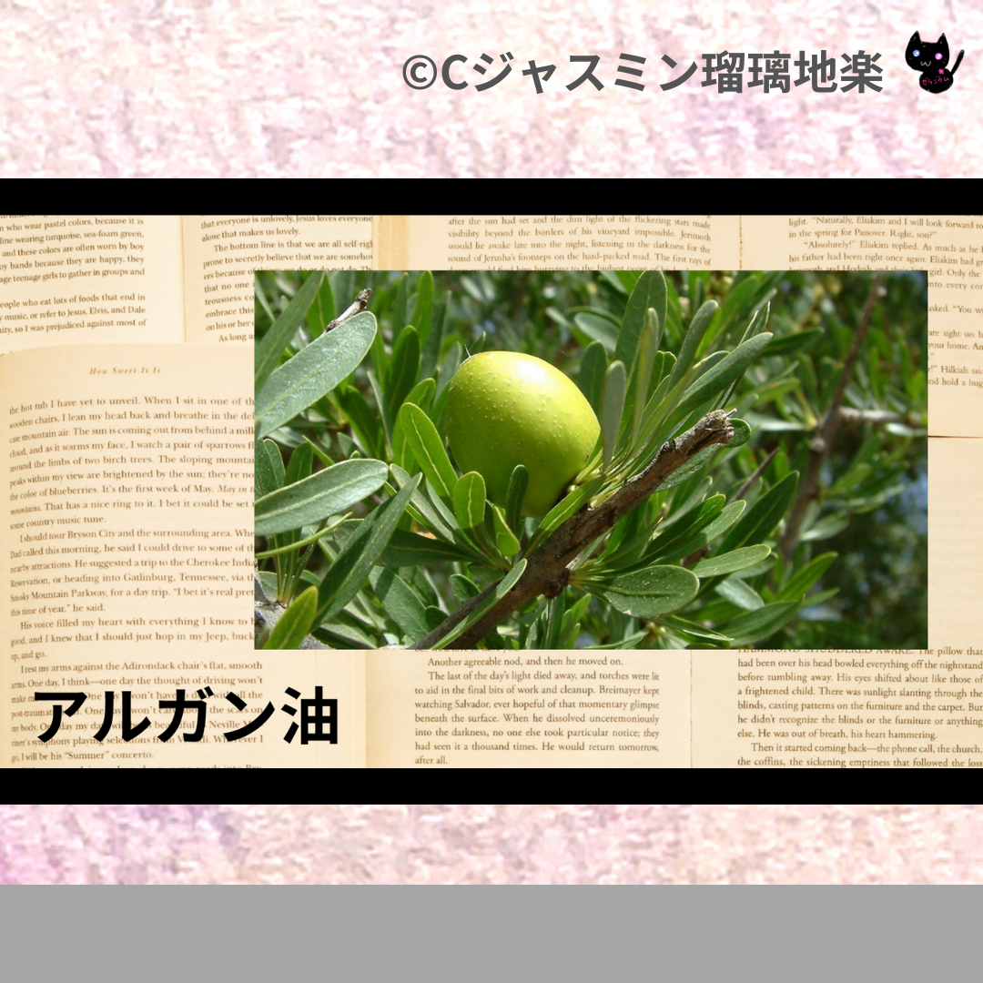 アルガン油(基材)＠botanical-study.com
