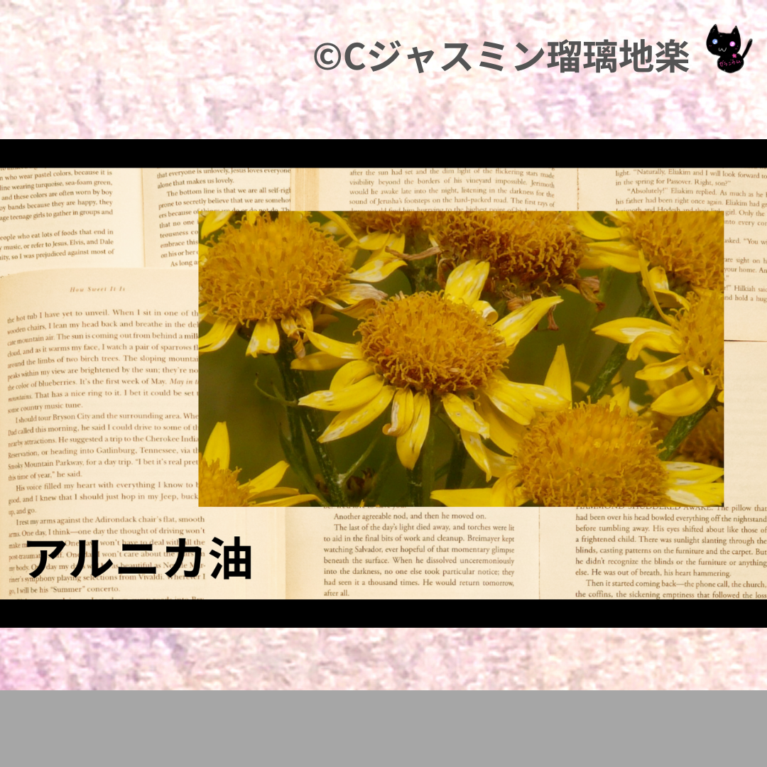 アルニカ油(基材)＠botanical-study.com