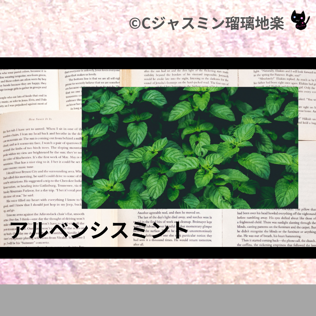 アルベンシスミント(精油)＠botanical-study.com