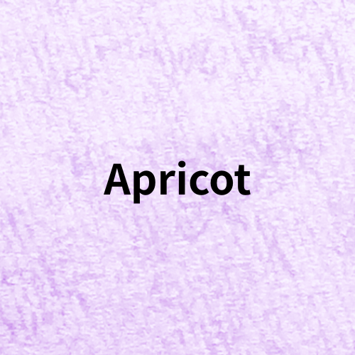 Apricot(Herb)＠botanical-study.com
